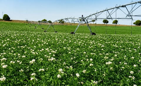 El sector vive con preocupación la subida en el precio de fertilizantes y combustibles. El sector vive con preocupación la subida en el precio de fertilizantes y combustibles.