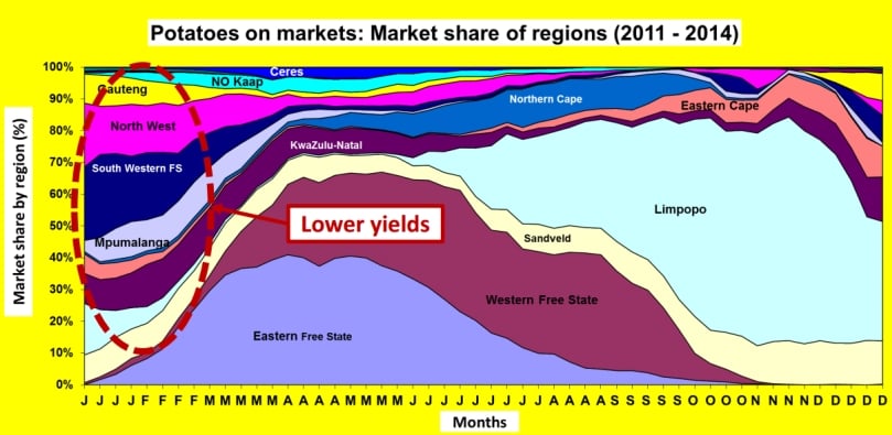In South Africa - where potatoes are harvested throughout the year - the drought and hot conditions since September last year, have a negative impact on yields in almost all the production regions In South Africa - where potatoes are harvested throughout the year - the drought and hot conditions since September last year, have a negative impact on yields in almost all the production regions