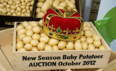 South Australian New Season Baby Potatoes Auction scheduled for November 1. South Australian New Season Baby Potatoes Auction scheduled for November 1.