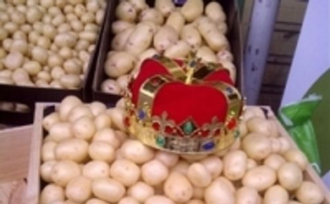 South Australian New Season Baby Potatoes Auction scheduled for November 1. South Australian New Season Baby Potatoes Auction scheduled for November 1.