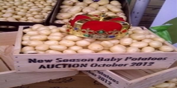  South Australian New season baby potato auction 2012