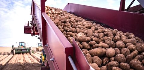 Potatoes from southern Colorado could soon be shipped to Mexico.