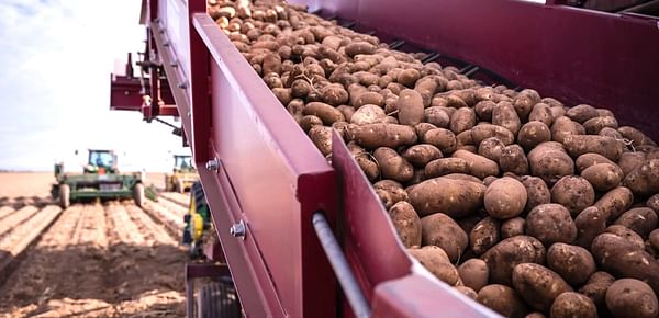 Potatoes from southern Colorado could soon be shipped to Mexico.