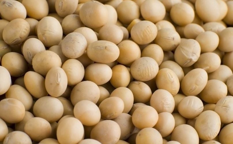 Soybeans Soybeans