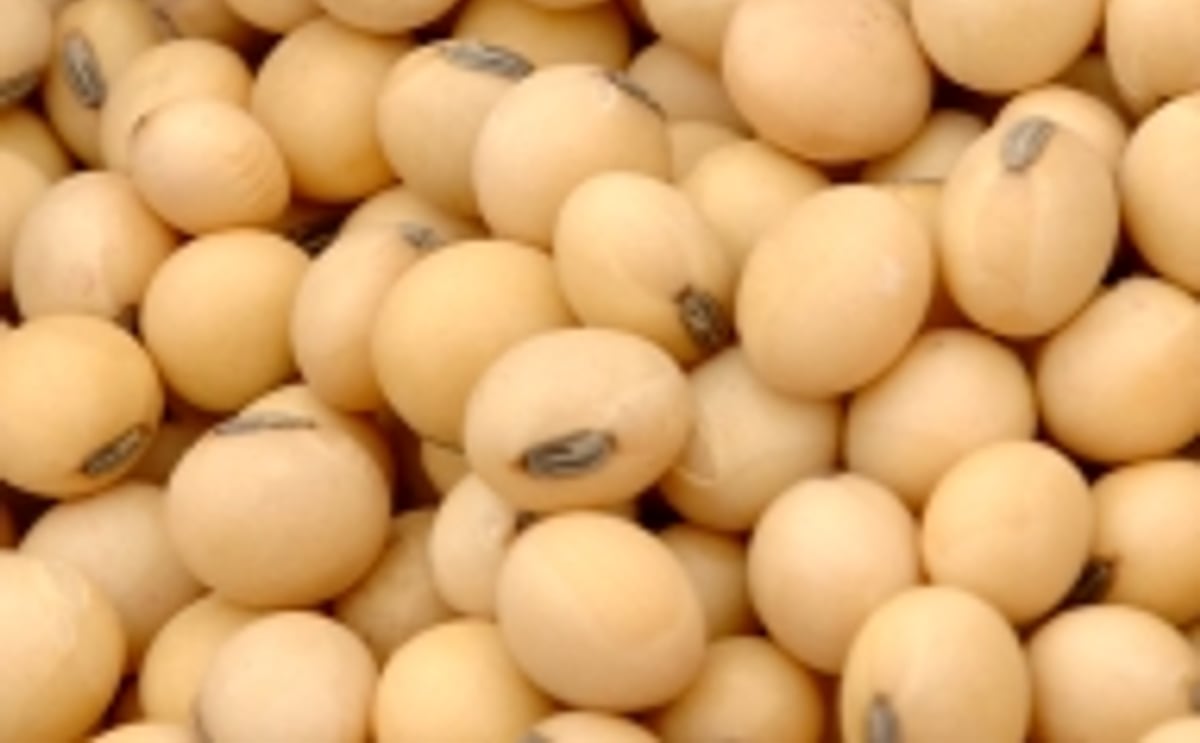 Soybeans Soybeans