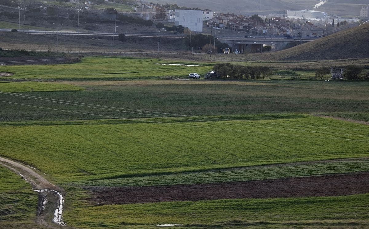 La bajada de precios en contratos de patata industrial genera incertidumbre y podría reducir la superficie sembrada en Castilla y León La bajada de precios en contratos de patata industrial genera incertidumbre y podría reducir la superficie sembrada en Castilla y León
