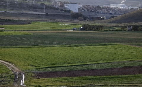 La bajada de precios en contratos de patata industrial genera incertidumbre y podría reducir la superficie sembrada en Castilla y León La bajada de precios en contratos de patata industrial genera incertidumbre y podría reducir la superficie sembrada en Castilla y León