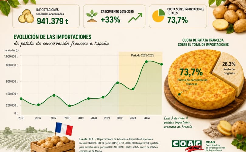Evolución de las importaciones de patata en España, con Francia como principal país proveedor.