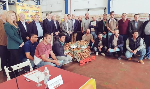 SPAR reparte 175 toneladas de semilla de papa en Gran Canaria