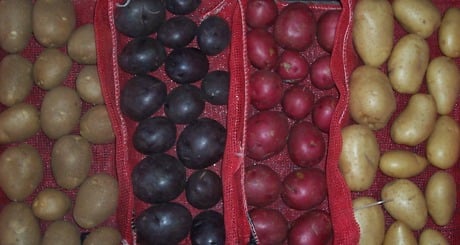 Specialty varieties Specialty varieties