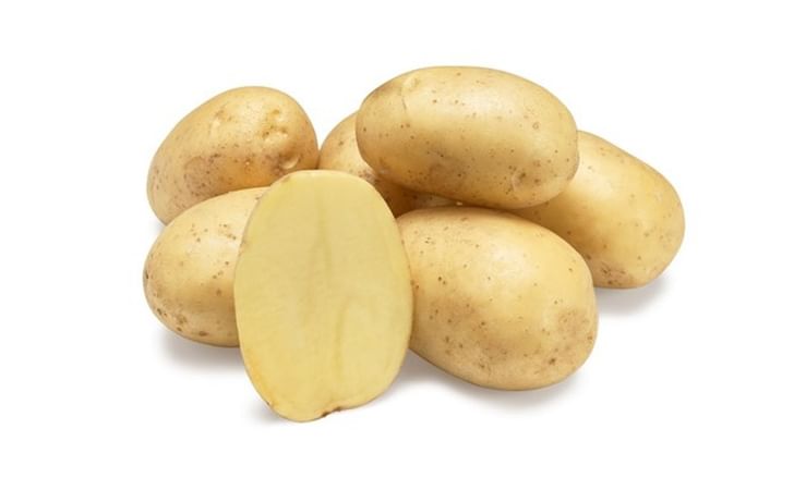 spectra-b-agrico-nl-hr-2020-geen-goede-foto-1200.jpg spectra-b-agrico-nl-hr-2020-geen-goede-foto-1200.jpg