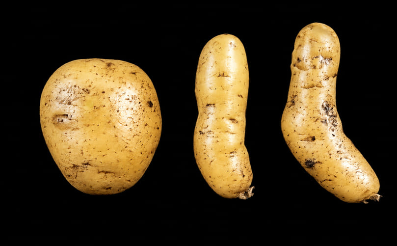 Potato Spindle Tuber Viroid (PSTVd): A Global Threat to Potato