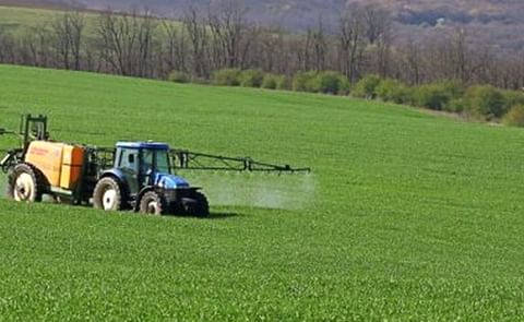 AHDB: Taking a look at UK's chipping markets from a supply and demand perspective.
AHDB: Taking a look at UK's chipping markets from a supply and demand perspective.