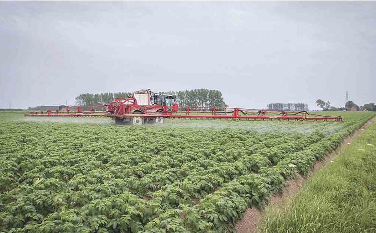 AHDB secured emergency crop protection authorisations helping out UK potato farmers AHDB secured emergency crop protection authorisations helping out UK potato farmers