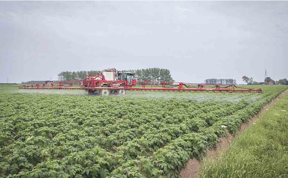AHDB secured emergency crop protection authorisations helping out UK potato farmers AHDB secured emergency crop protection authorisations helping out UK potato farmers