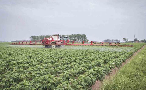 AHDB secured emergency crop protection authorisations helping out UK potato farmers AHDB secured emergency crop protection authorisations helping out UK potato farmers