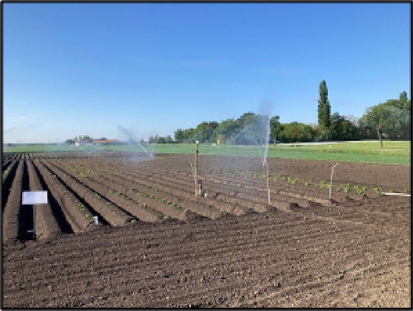 Sprinkler irrigation system