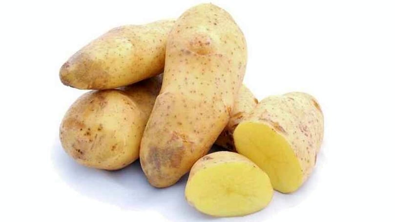 3. Spunta