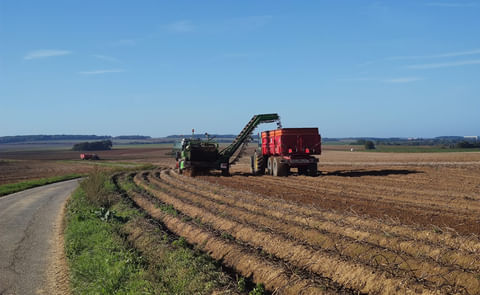 Starch potato: how does France quietly liquidate a sovereign agricultural sector? Starch potato: how does France quietly liquidate a sovereign agricultural sector?
