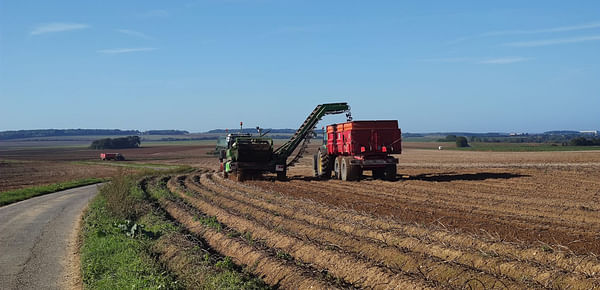 Starch potatoes: how does France quietly liquidate a sovereign agricultural sector?