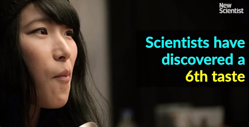 Scientists have discovered a 6th taste (Courtesy: New Scientist) Scientists have discovered a 6th taste (Courtesy: New Scientist)
