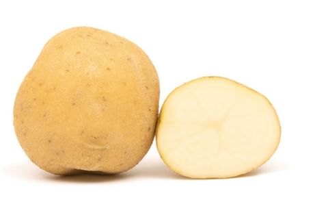 STARKEPROFI STARKEPROFI