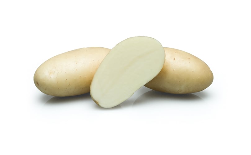 Leonata is a mid early potato variety for the transformation to French fries, in the fast food segment. Leonata is a mid early potato variety for the transformation to French fries, in the fast food segment.