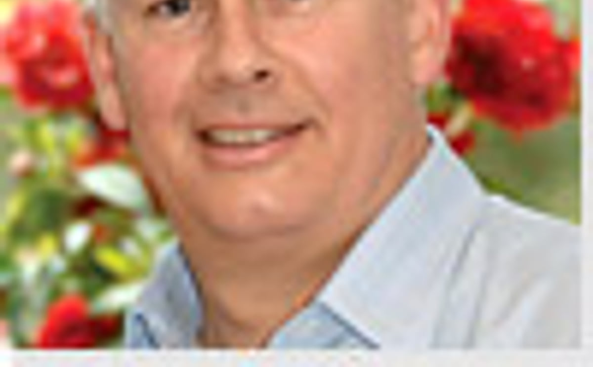 Interview with McCain Foods Australia Managing director Steve Yung Interview with McCain Foods Australia Managing director Steve Yung