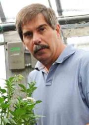 New strain of potato virus Y has industry’s attention
