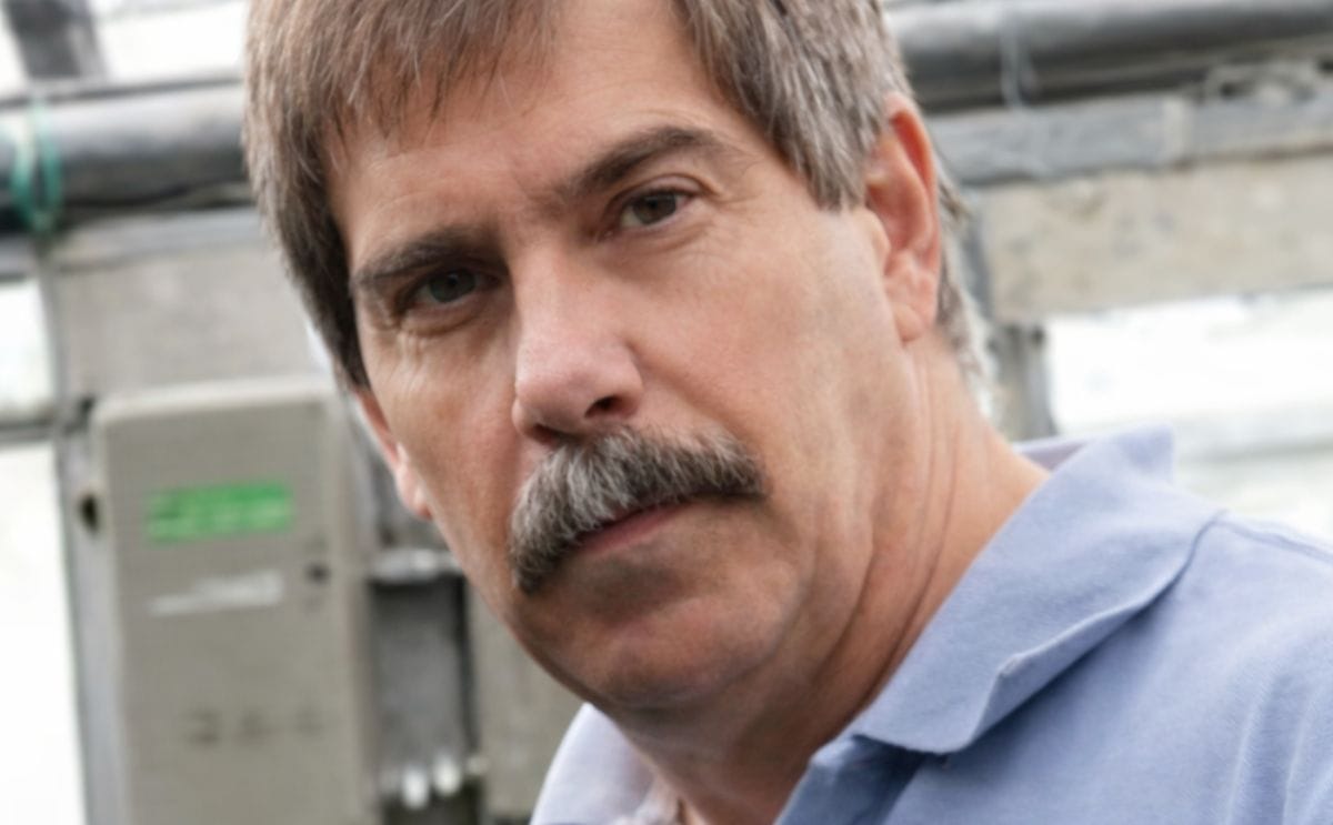 New strain of potato virus Y has industry’s attention