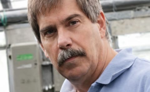 New strain of potato virus Y has industry’s attention New strain of potato virus Y has industry’s attention