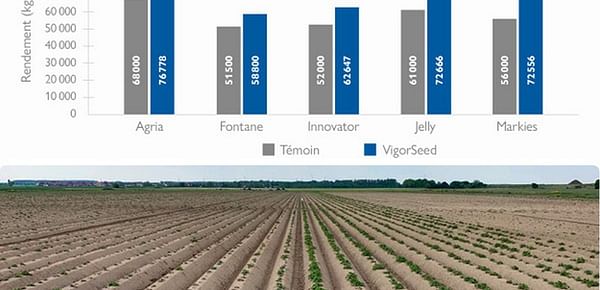 Stoller - VigorSeed: fast and uniform germination of potato seeds.