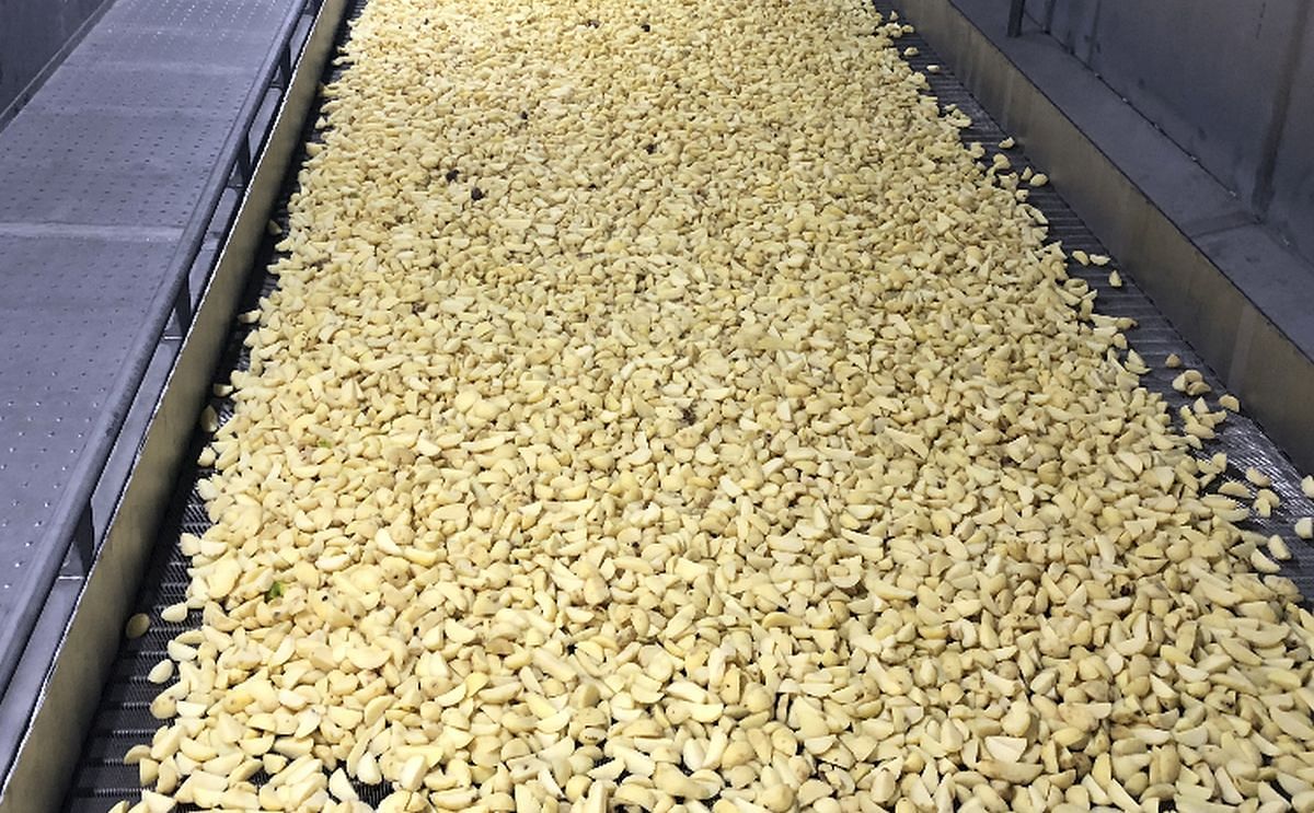 Steaming (Blanching) and Cooling of Ready-To-Cook Potato Products Steaming (Blanching) and Cooling of Ready-To-Cook Potato Products