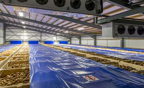 The Future of UK Potato Storage Research The Future of UK Potato Storage Research