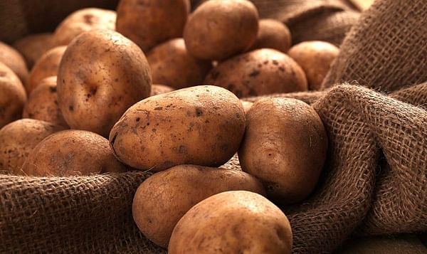 Early potatoes