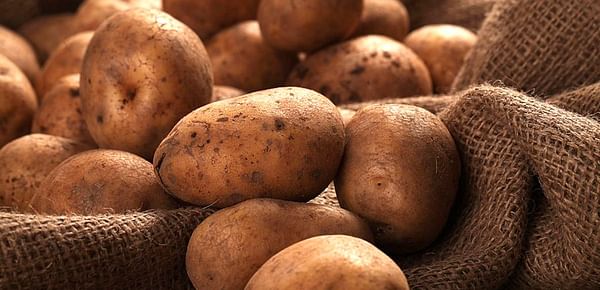 UP: 29 metric tons of potatoes from Aligarh exported to Guyana in South America