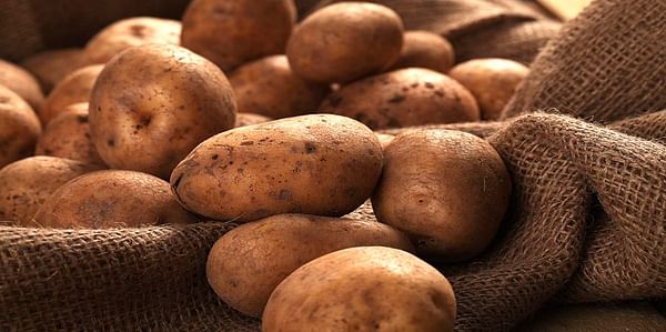 UP: 29 metric tons of potatoes from Aligarh exported to Guyana in South America