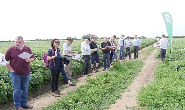 Bridging the gap between potato growers and scientists