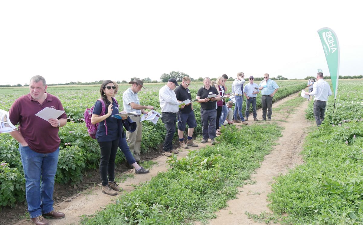 Bridging the gap between potato growers and scientists Bridging the gap between potato growers and scientists