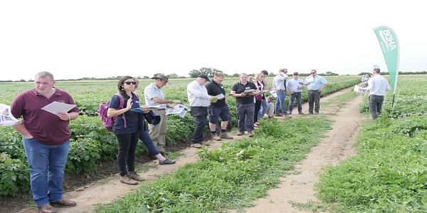 Bridging the gap between potato growers and scientists
