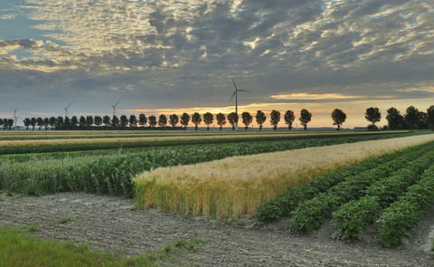 Strip Cropping Strip Cropping