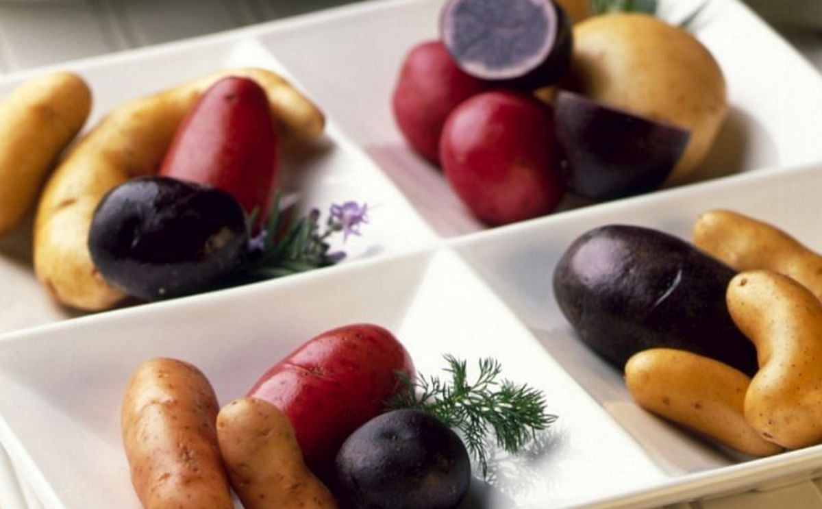 Potato Retail Sales in the United States for the month of August is up compared to last year. Potato Retail Sales in the United States for the month of August is up compared to last year.