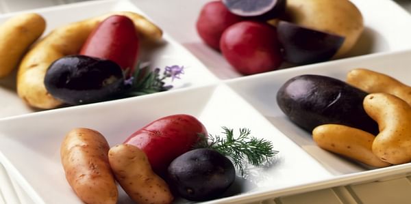 Fingerling Potato Segment continues to grow in the United States