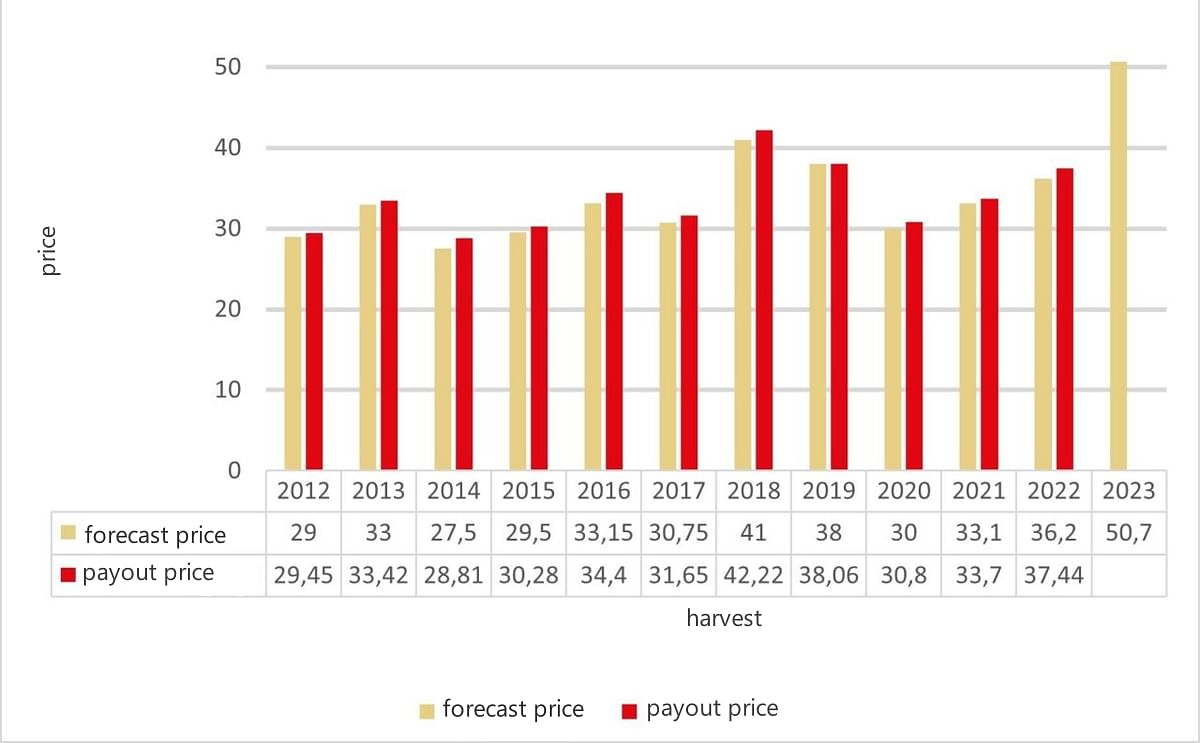 Strong increase in HZPC grower price