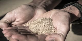 First True Potato Seed (TPS) Trial of Solynta and Solidaridad in Mozambique Shows Great Potential
First True Potato Seed (TPS) Trial of Solynta and Solidaridad in Mozambique Shows Great Potential