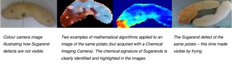 How Chemical Imaging Technology detects sugar ends in potatoes How Chemical Imaging Technology detects sugar ends in potatoes