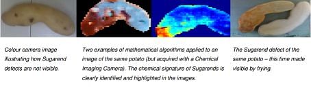 How Chemical Imaging Technology detects sugar ends in potatoes