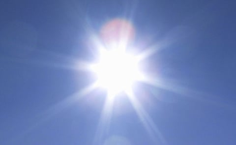 A combination of high temperatures and lack of rain have caused severe drought conditions in North-western Europe, including large parts of Germany. A combination of high temperatures and lack of rain have caused severe drought conditions in North-western Europe, including large parts of Germany.