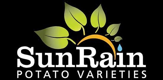 SunRain Potato Varieties