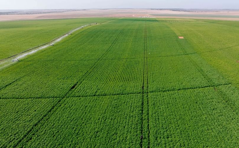 The supermarket giants attributed the shortage to a natural dip caused by the seasonal transitional windows. The supermarket giants attributed the shortage to a natural dip caused by the seasonal transitional windows.